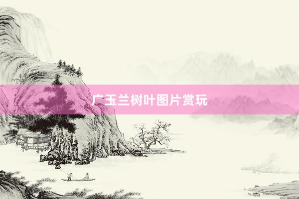 广玉兰树叶图片赏玩