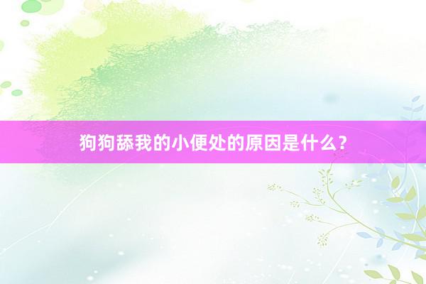 狗狗舔我的小便处的原因是什么？
